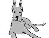 Coloring page Great dane lying down painted bykass