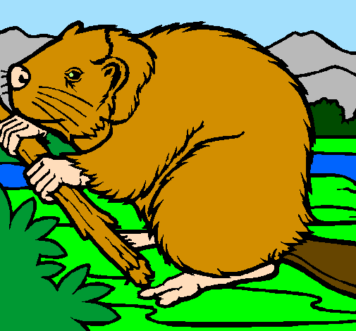 Coloring page Beaver  painted byDucky The Duck