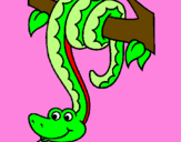 Coloring page Snake hanging from a tree painted bykendall