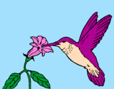 Coloring page Hummingbird and flower painted byTay