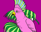 Coloring page Cockatoo painted bydani