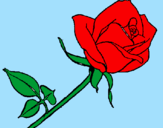 Coloring page Rose painted byLola