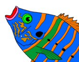 Coloring page Fish painted bybrandon cress