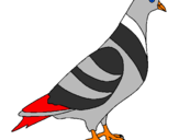 Coloring page Turtledove painted byPigeon