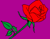 Coloring page Rose painted byya999