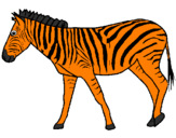 Coloring page Zebra painted bybrandon cress