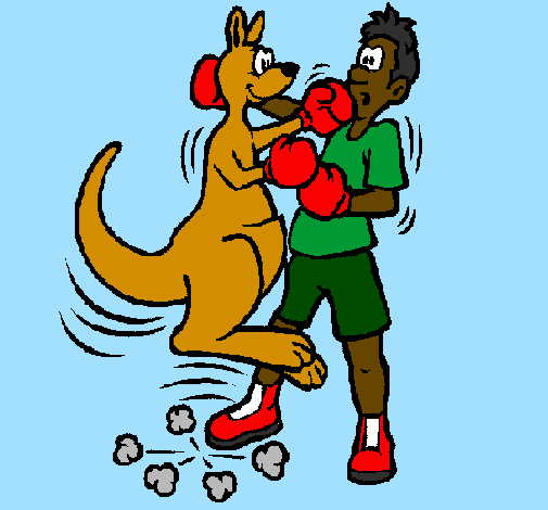 Boxer kangaroo