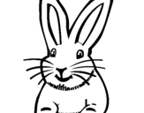 Coloring page Rabbit painted byanonymous