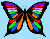 Coloring page Butterfly painted bylorenzo