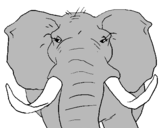 Coloring page African elephant painted bytommy