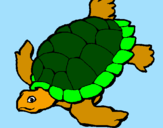 Coloring page Turtle painted bytortuga