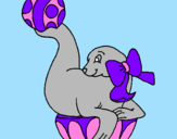 Coloring page Seal playing ball painted bykoala