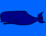 Coloring page Blue whale painted byL.J.