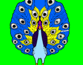 Coloring page Peacock painted byEva