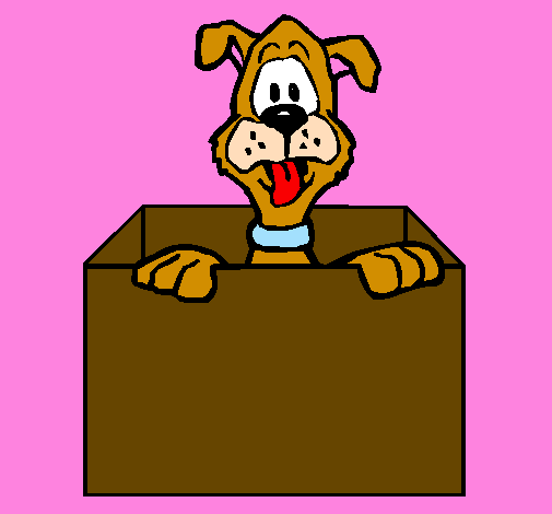 Dog in a box