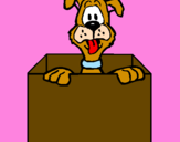 Coloring page Dog in a box painted byhaley