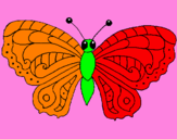 Coloring page Butterfly painted byPhillip