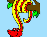 Coloring page Snake hanging from a tree painted byekaitz