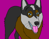 Coloring page Alsatian dog painted byOnyx
