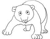 Coloring page Panda painted byfer