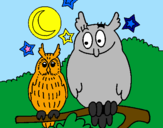 Coloring page Owls painted byMarga