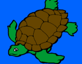 Coloring page Turtle painted byANAHI