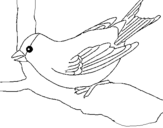 Coloring page Sparrow on branch painted byyuan