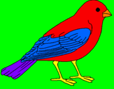 Coloring page Sparrow painted byjorge 