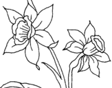 Coloring page Orchid painted byBUTT