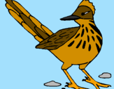 Coloring page Roadrunner painted byIratxe