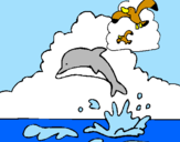 Coloring page Dolphin and seagull painted bypuppy