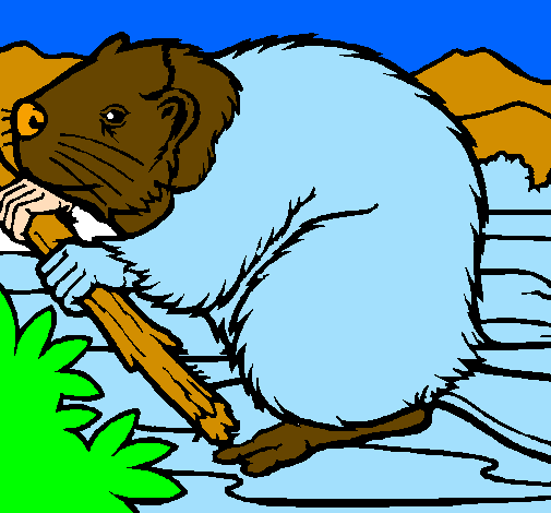 Coloring page Beaver  painted bygael