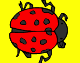 Coloring page Ladybird painted byzoli