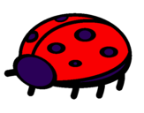 Coloring page Ladybird painted byJermesha