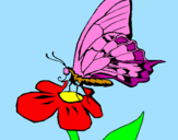 Coloring page Butterfly on flowe painted bycharlotte