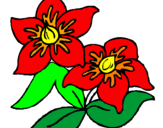 Coloring page Flowers painted byNANA