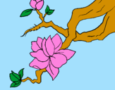 Coloring page Almond flower painted byDANI