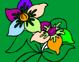 Coloring page Flowers painted byCrystal Moreno