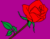 Coloring page Rose painted byolivia