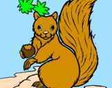 Coloring page Squirrel painted bysabrina