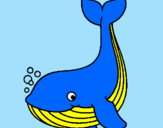 Coloring page Little whale painted byjorge