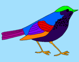 Coloring page Thrush painted byazzeddine