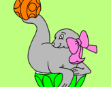 Coloring page Seal playing ball painted byJOSE