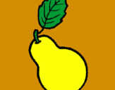 Coloring page pear painted byMarga