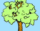 Coloring page Tree painted byIratxe