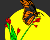 Coloring page Butterfly on branch painted byErin