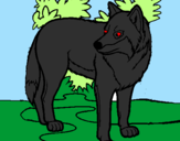 Coloring page Wolf painted byevan