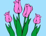 Coloring page Tulips painted byDANI