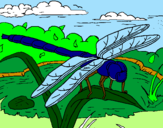 Coloring page Dragonfly painted byandres