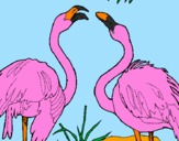 Coloring page Flamingos painted bymichele
